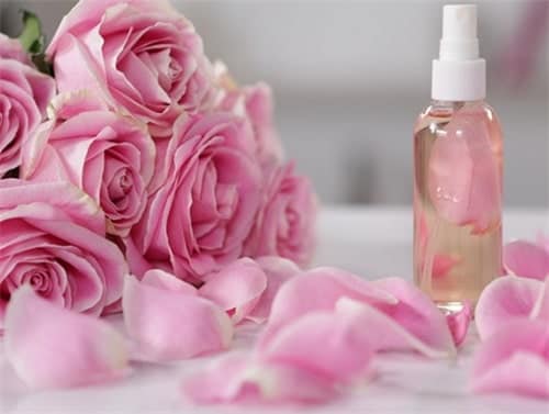What is rose water?